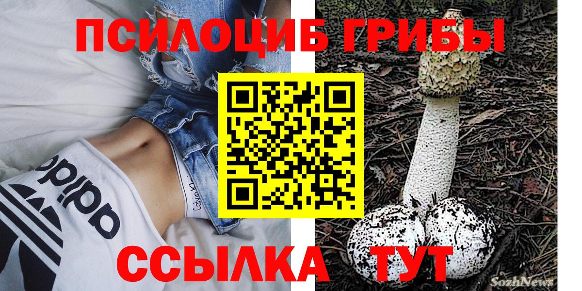 Видное  Галлюциногенные грибы мухоморы  Вход с VPN  Псилоцибиновые грибы прущие грибы 